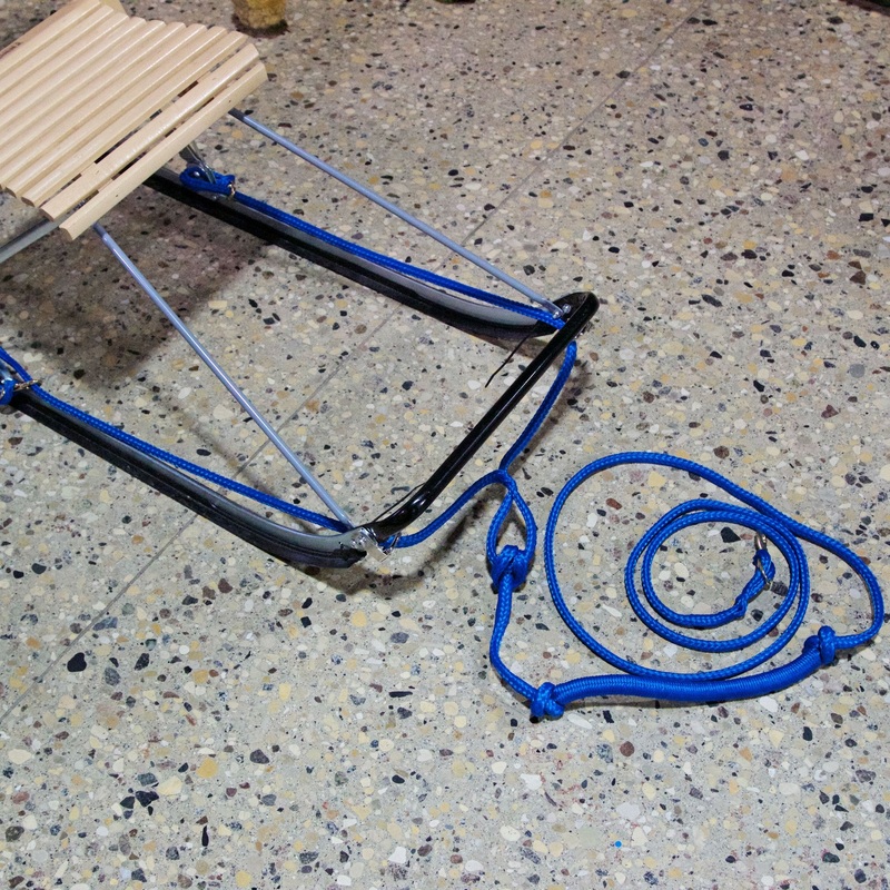 Gangline 1 Dog w Bungee 10
