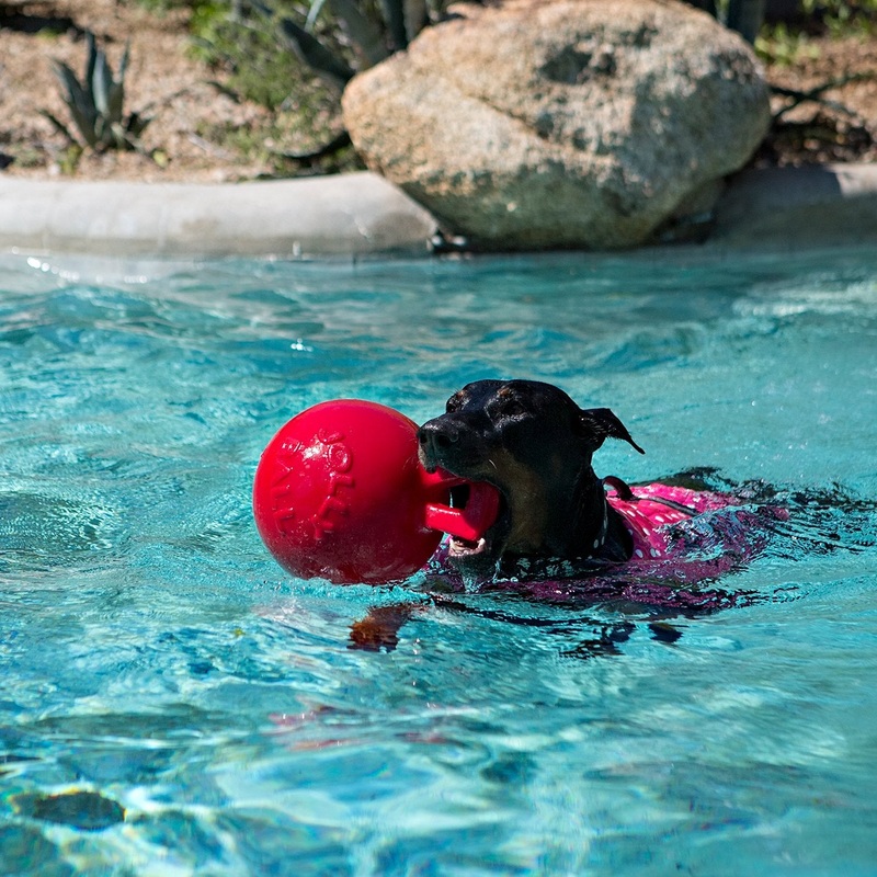 Jolly Pets Tug n' Toss Ball w/Handle 8"