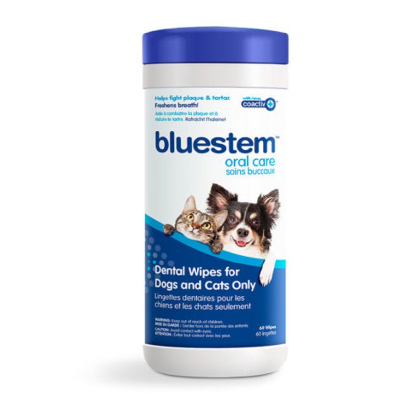 Bluestem DENTAL WIPES 60 CT DOG OR CAT
