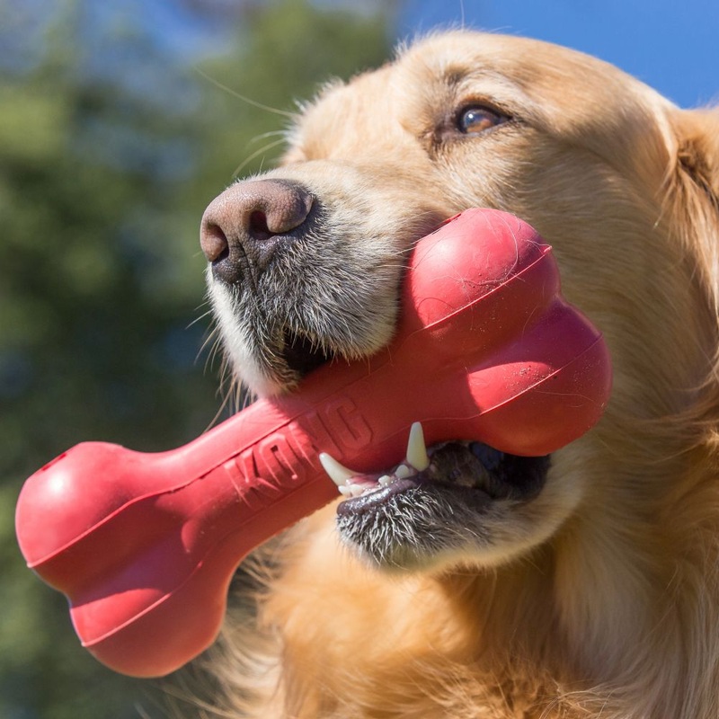 Kong Goodie Bone Red Large