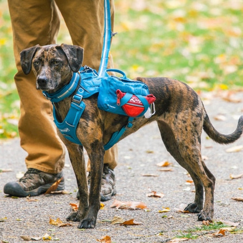 Kurgo - RSG County Harness Small