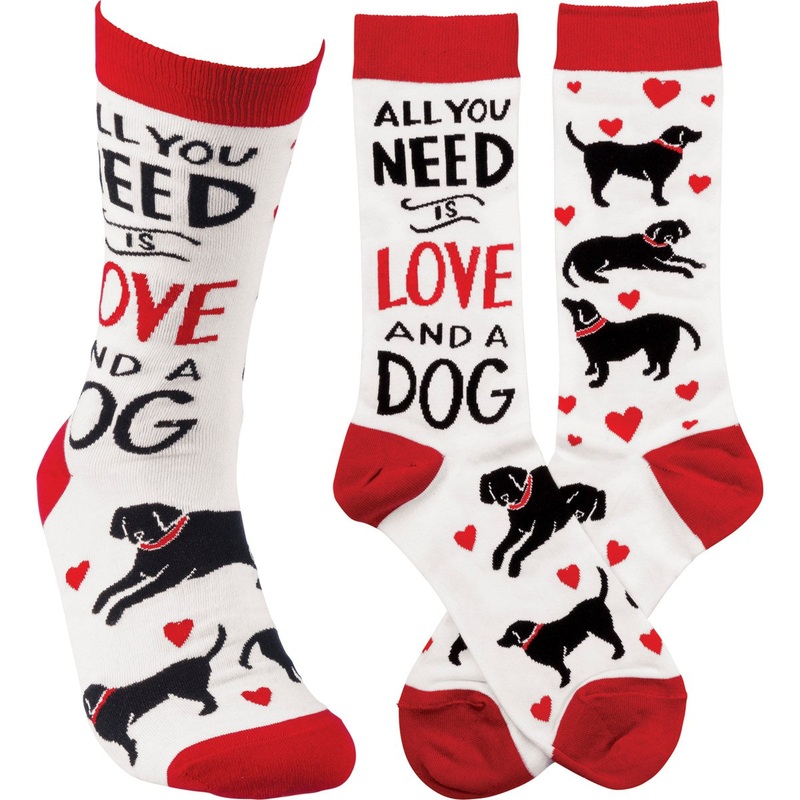 SOCKS- LOVE AND A DOG