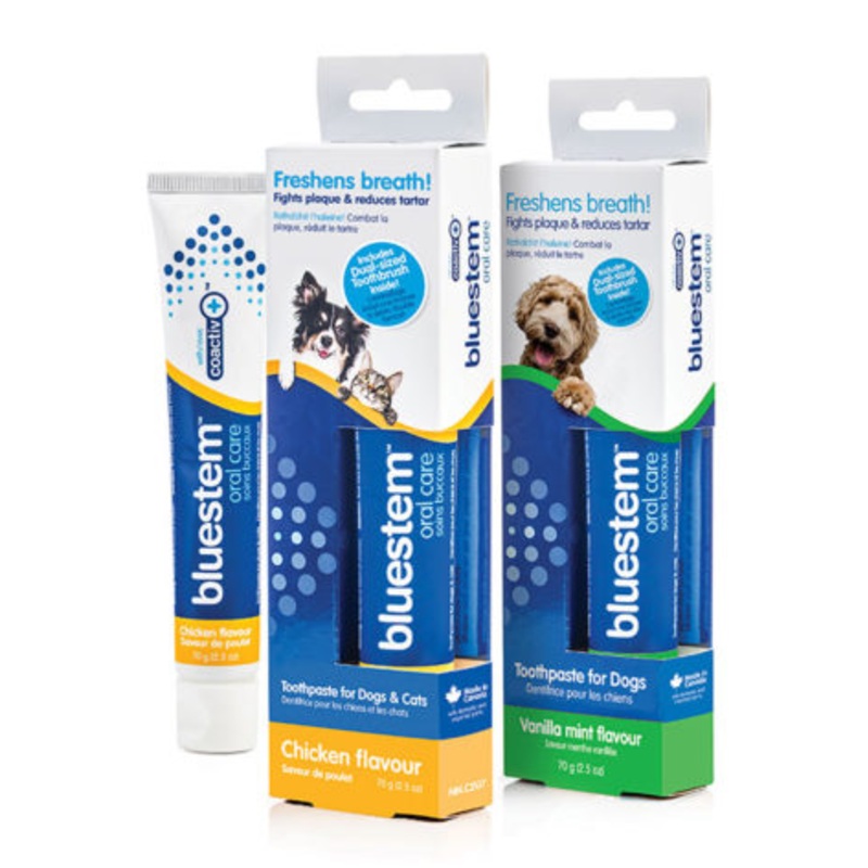 BLUESTEM Chicken Toothpaste 70g
