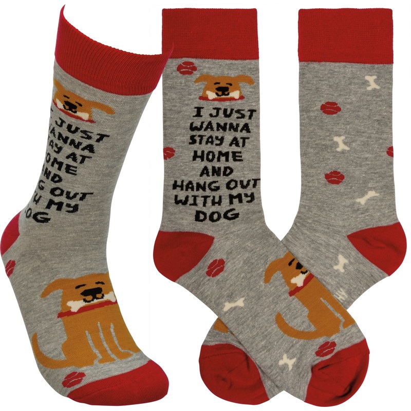 SOCKS- Just wannna hang out with my Dog