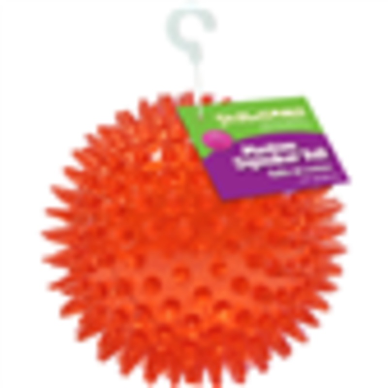 Gnawsome Ball Medium 3.5" Royal Pet
