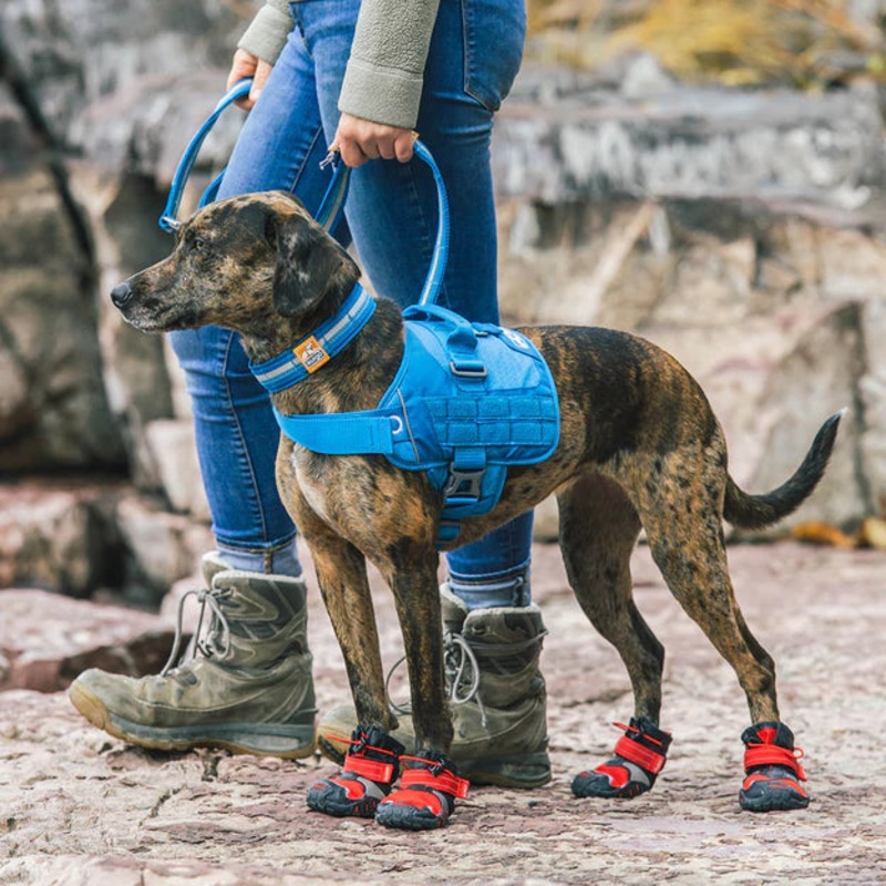 Kurgo RSG Townie Harness Lrg