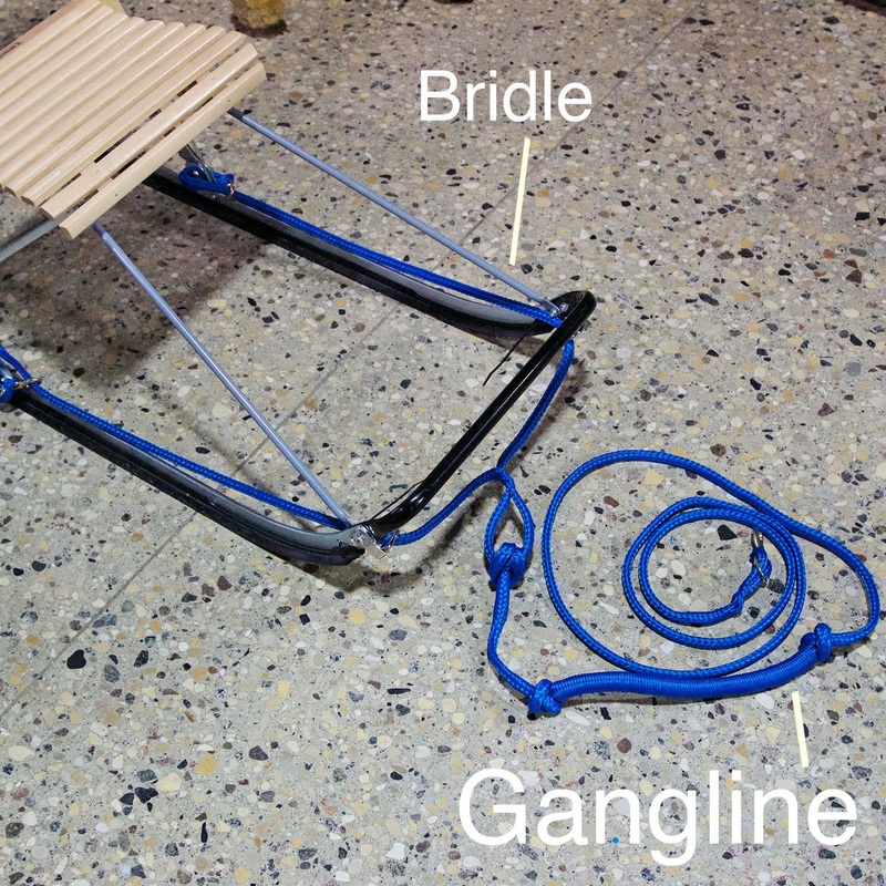 Sled-Bridle