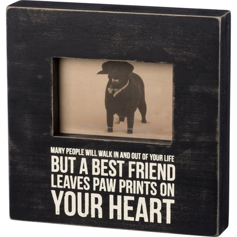 Frame - Paw Prints