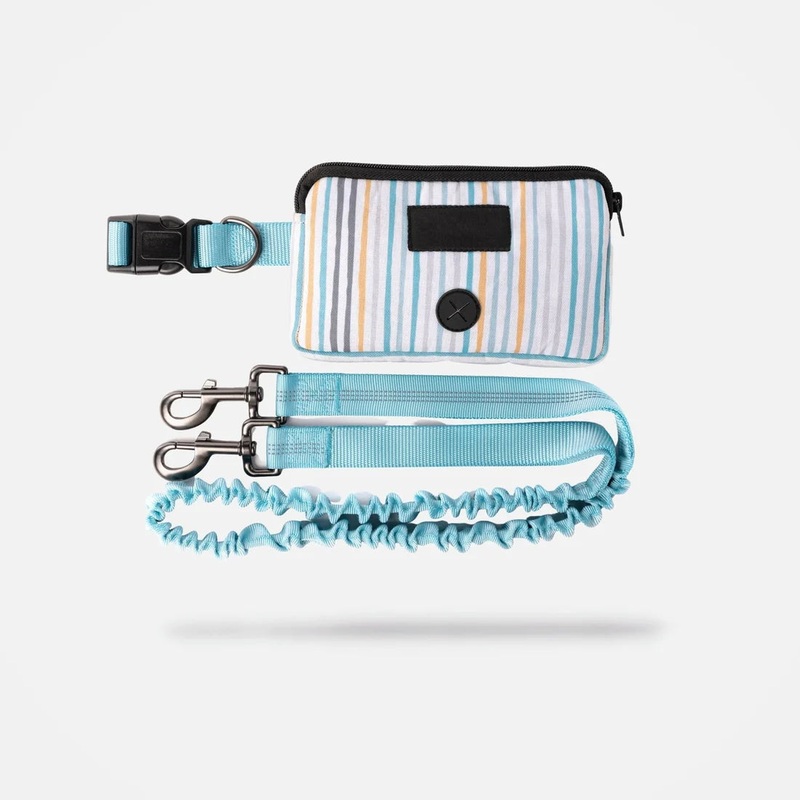 Hands Free Leash - Blue Stripe
