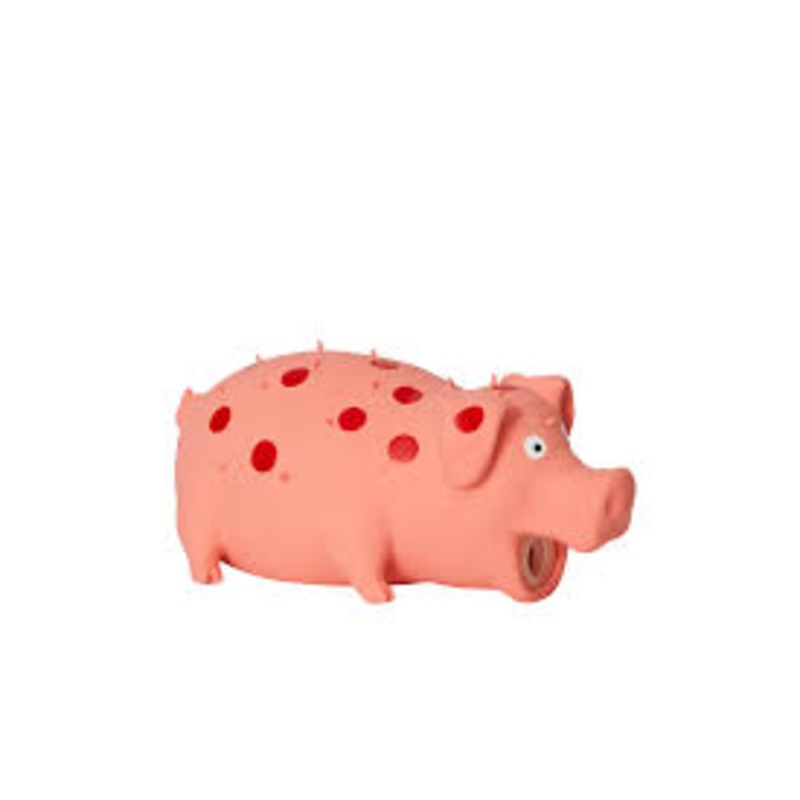 Latex Spotted Pig Squeaker 8"