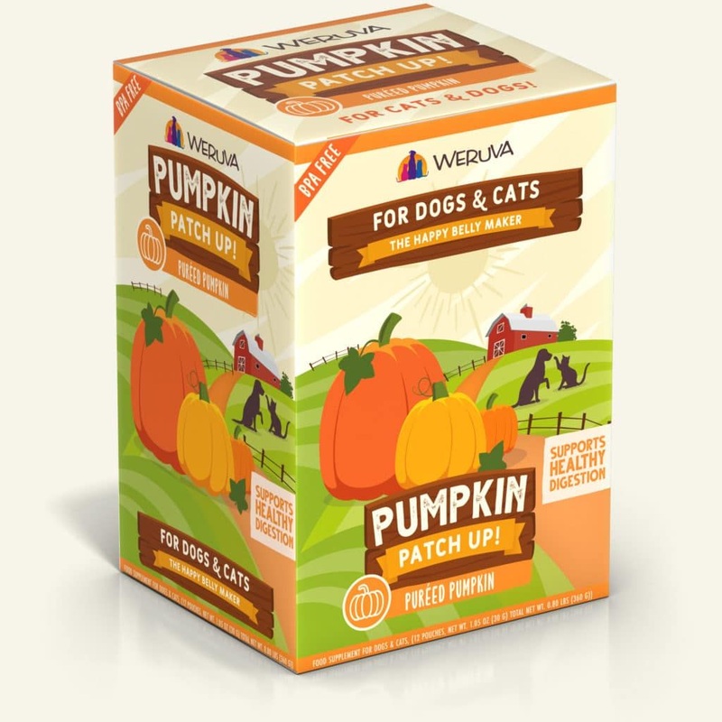 Pumpkin Patch Up 12 x 1.05oz