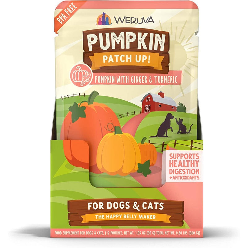 Pumpkin Patch Up Ginger & Turmeric 12pk