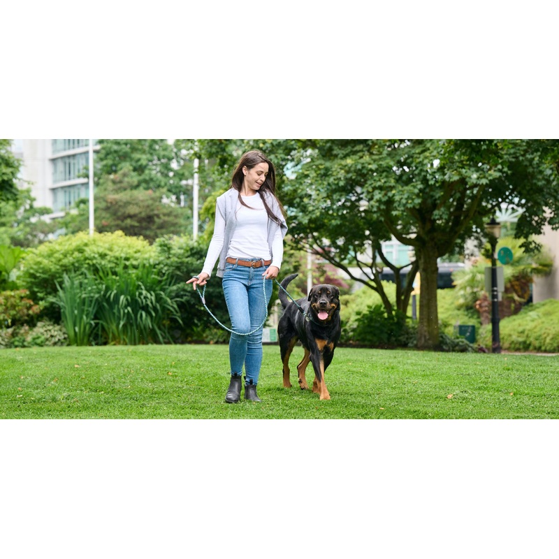 RC Rope Leash 5/16" x 5'