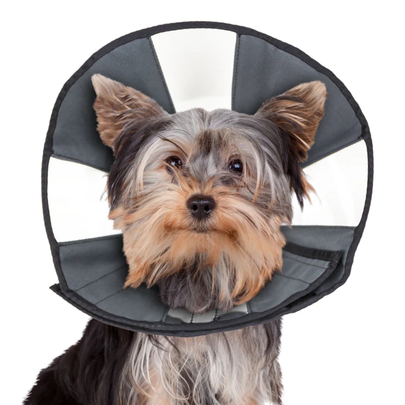 ZenCone Large 15-18"