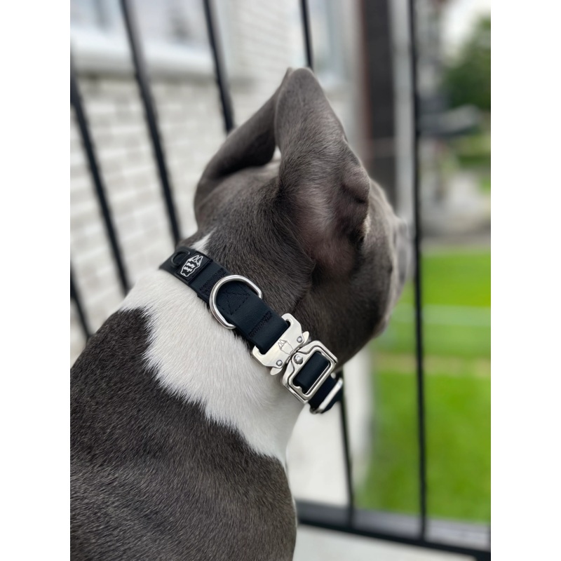 BULLY WAG 1" BIOTHANE COLLAR