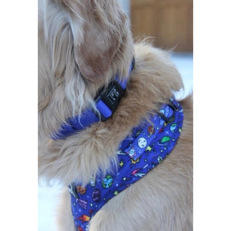 Catso & Co Pet Collar Galaxy