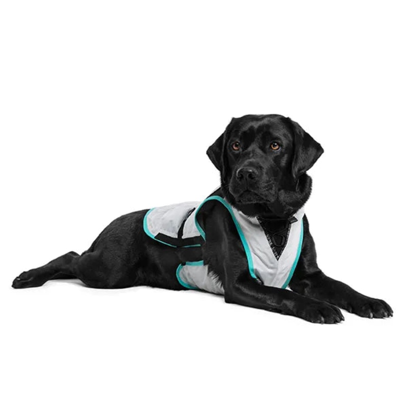 Suitical DRY COOLING VEST XL