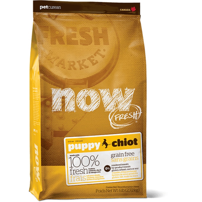 Now Fresh Grain Free Puppy 22lbs