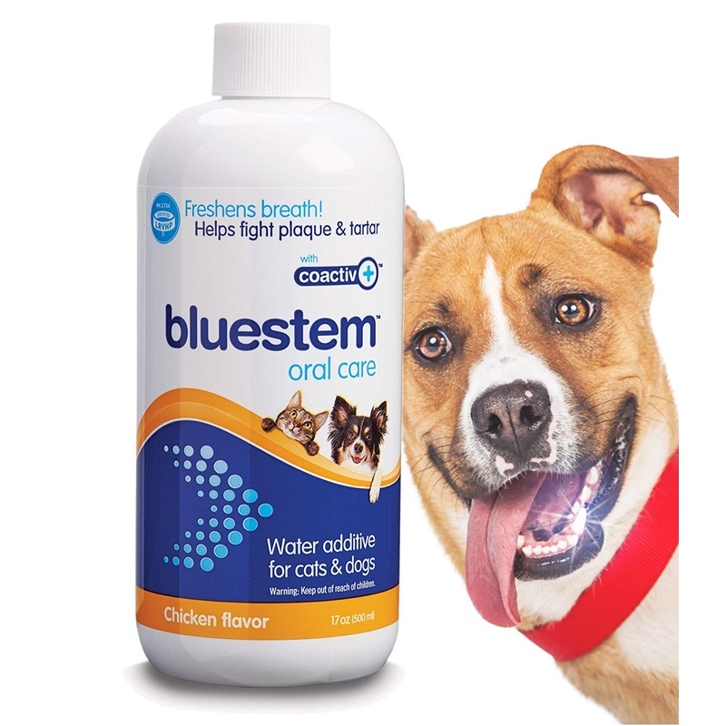 Bluestem Oral Care 500ml