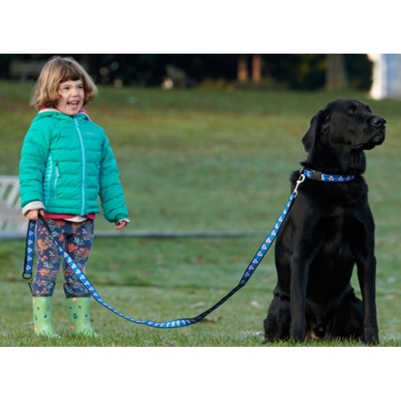 RC Pattern Dog Leash 1'X6'