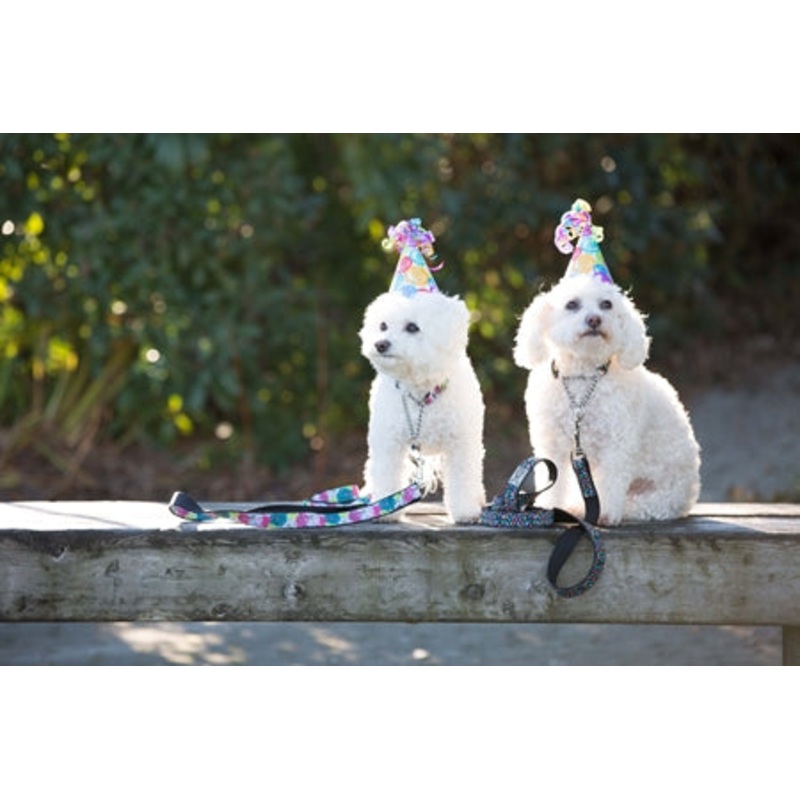 Training Collar-MEDIUM 14"-20"