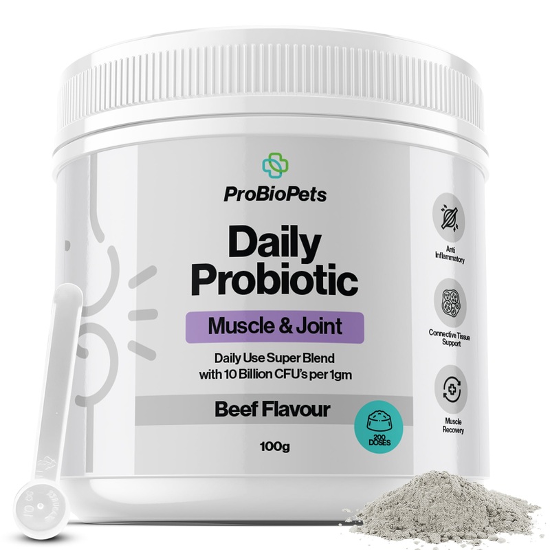 Muscle & Joint Probiotic For Pets