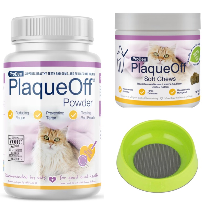 Cat Dental Care Bundle