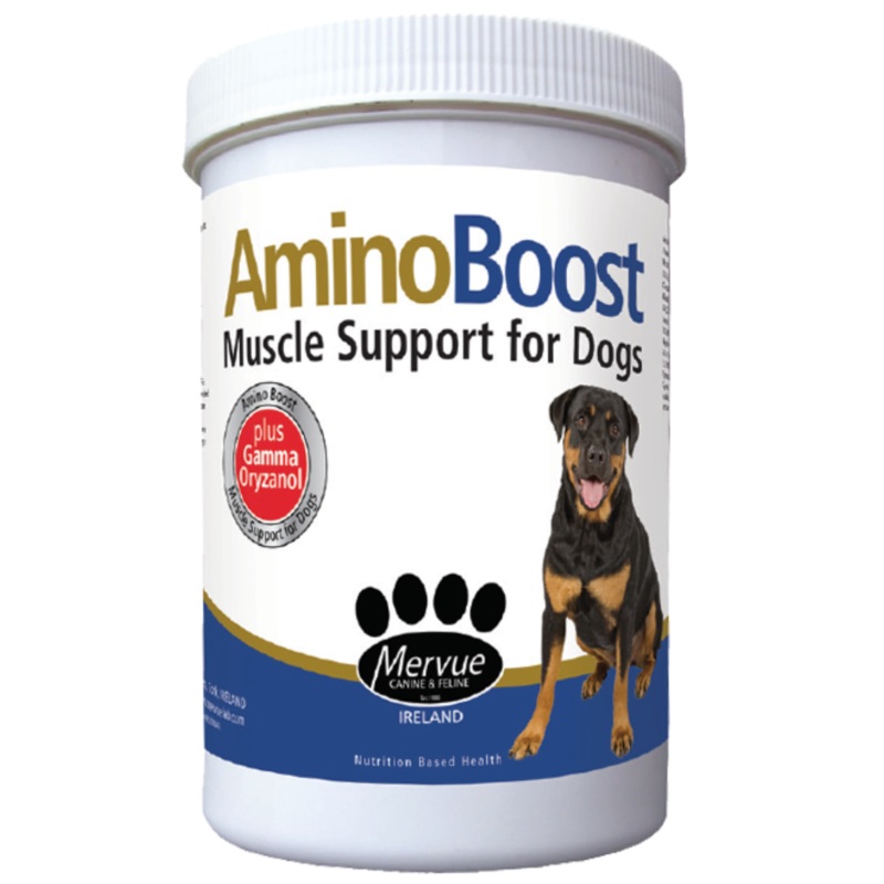 Amino Boost Powder 100g
