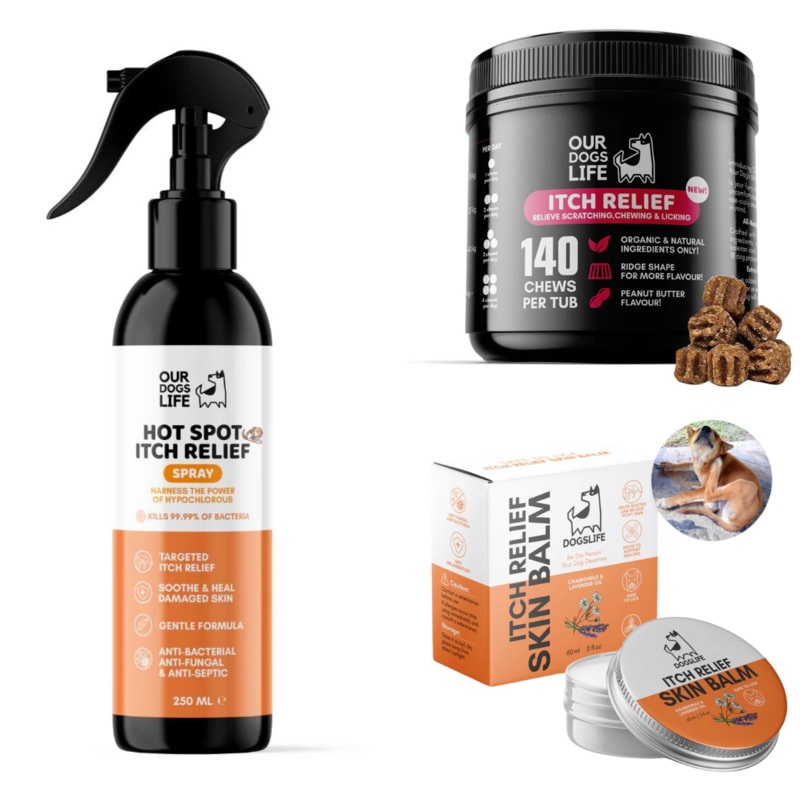 Itch Relief Bundle for Dogs