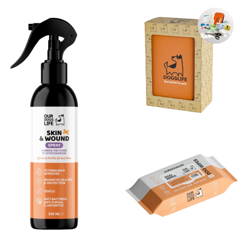 Travel Essentials Kit For Dogs