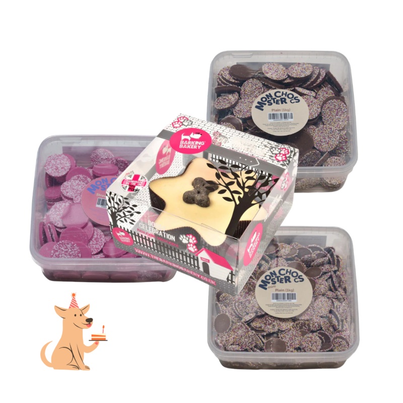 Birthday Treat Bundle