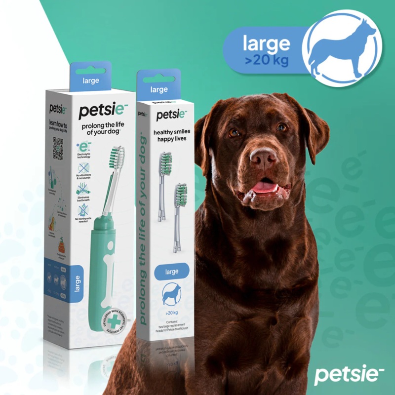 Petsie Dog Toothbrush Combo  Electrolytic Brush + Spare Head Large