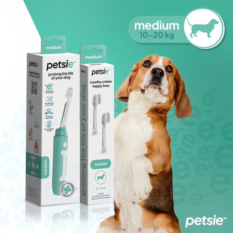Petsie Dog Toothbrush Combo  Electrolytic Brush + Spare Head Medium