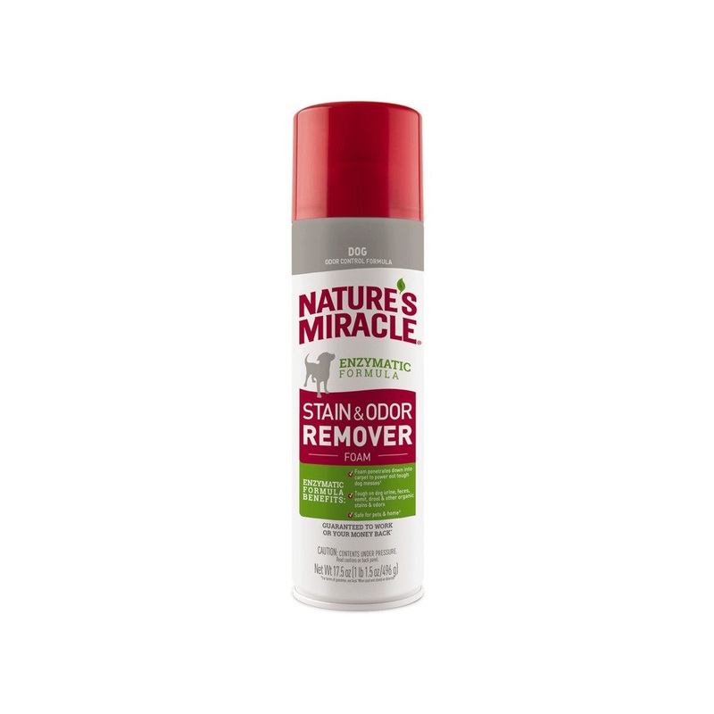 Nature s Miracle Dog Stain and Odor Remover  Citrus Scent  17.5 Ounce