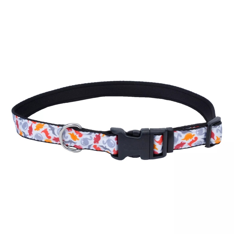 Coastal Exclusive Styles 5/8in Wide 10-14in Dog Collar Dinosaurs
