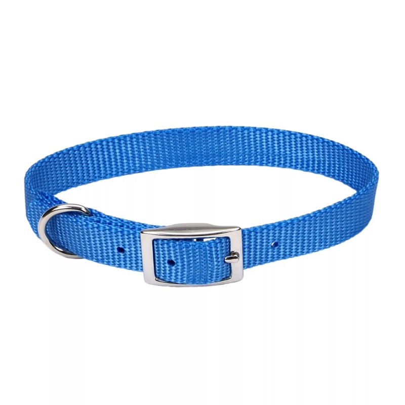 Coastal Single Ply 5/8in Wide 14in Dog Collar Blue Lagoon