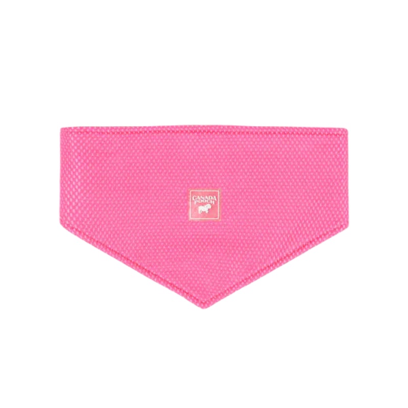 Canada Pooch Chill Seeker Cooling Bandana, Neon Pink Medium