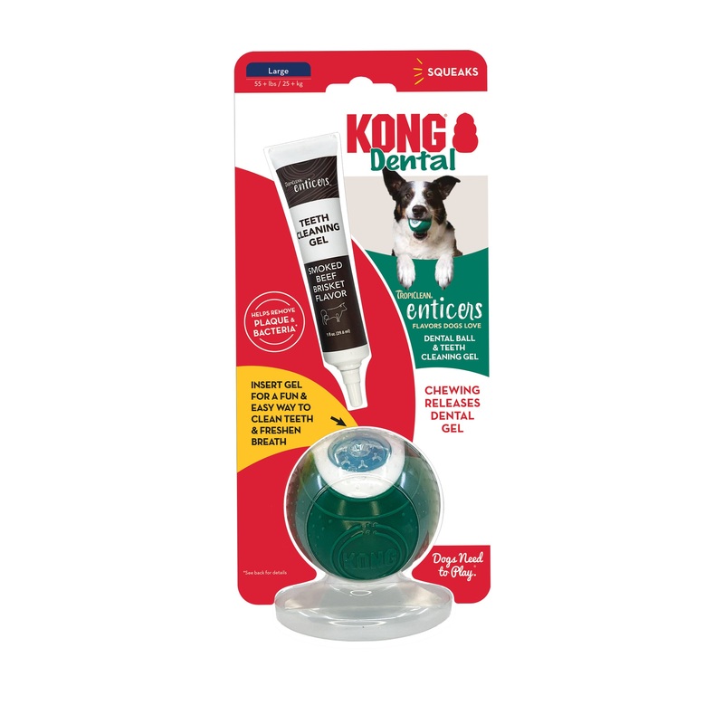 Kong Dog Dental Ball Large