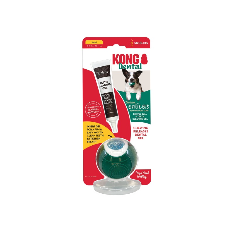 Kong Dog Dental Ball Small