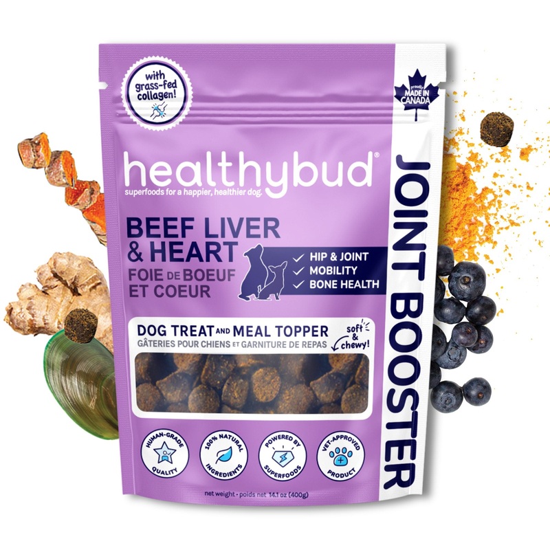 Healthybud 4.6oz Beef Joint Booster Dog Treats
