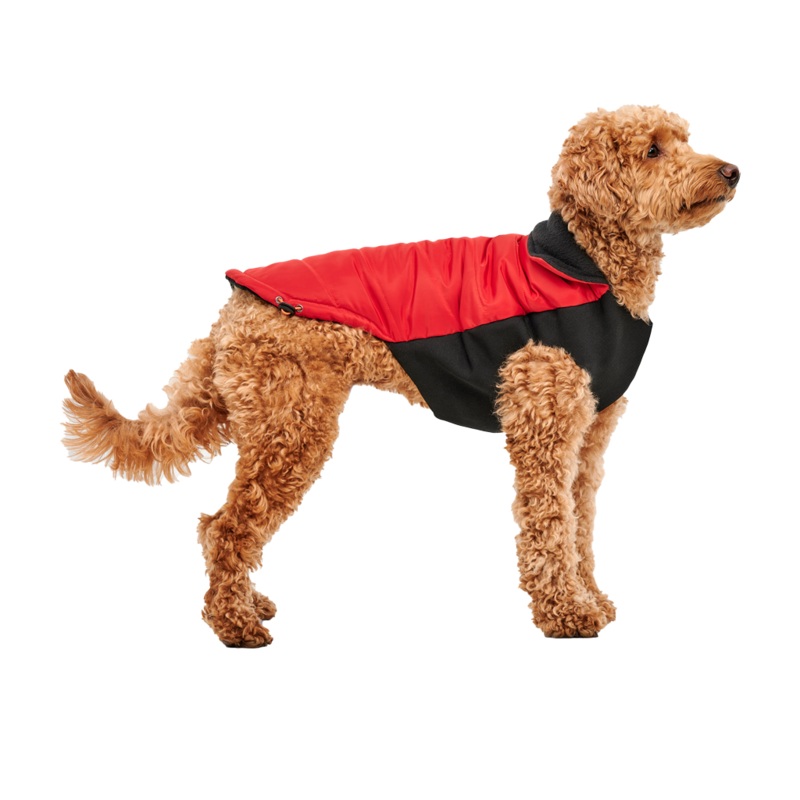 Gooeez Red Mock Neck Signature Jacket Large
