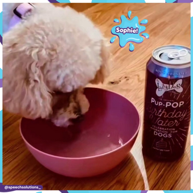 Lazy Dog Pup-POP Birthday Water Vanilla Cake Flavor 15.5oz