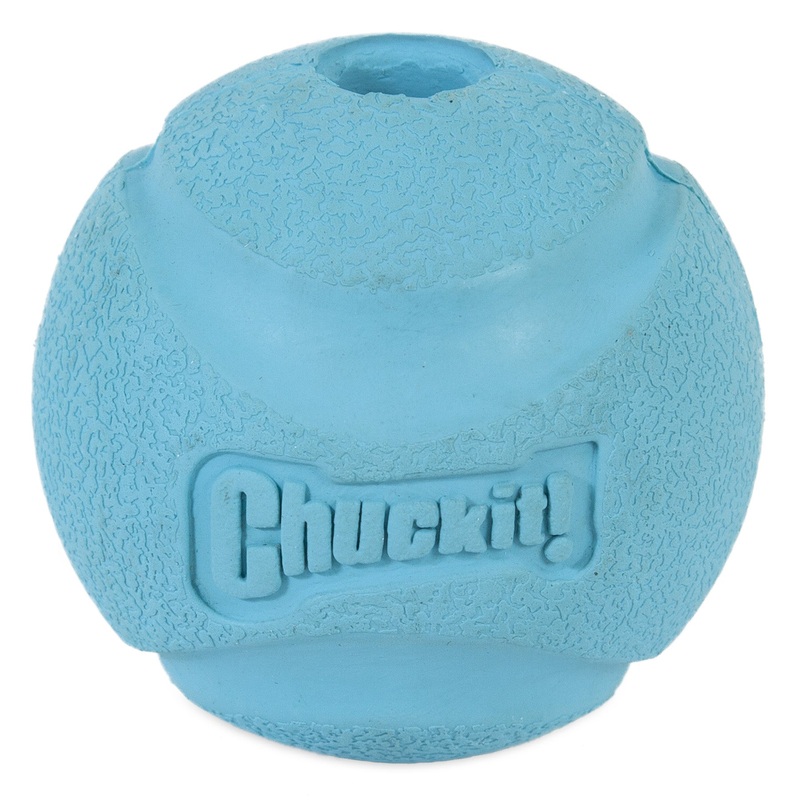 Chuckit! Fetch Ball Dog Toy