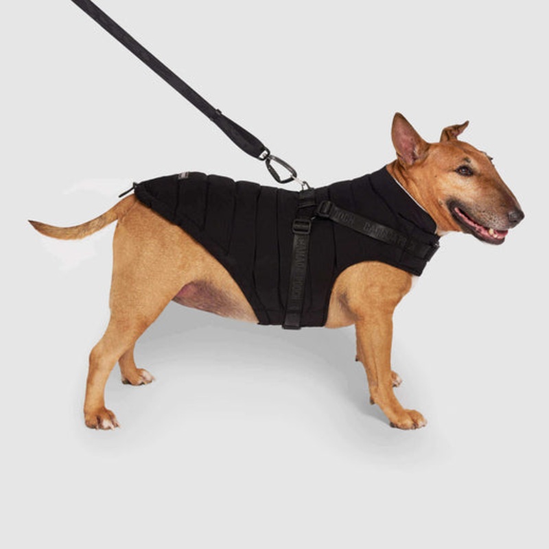 Canada Pooch Black Harness Puffer Coat Size 10