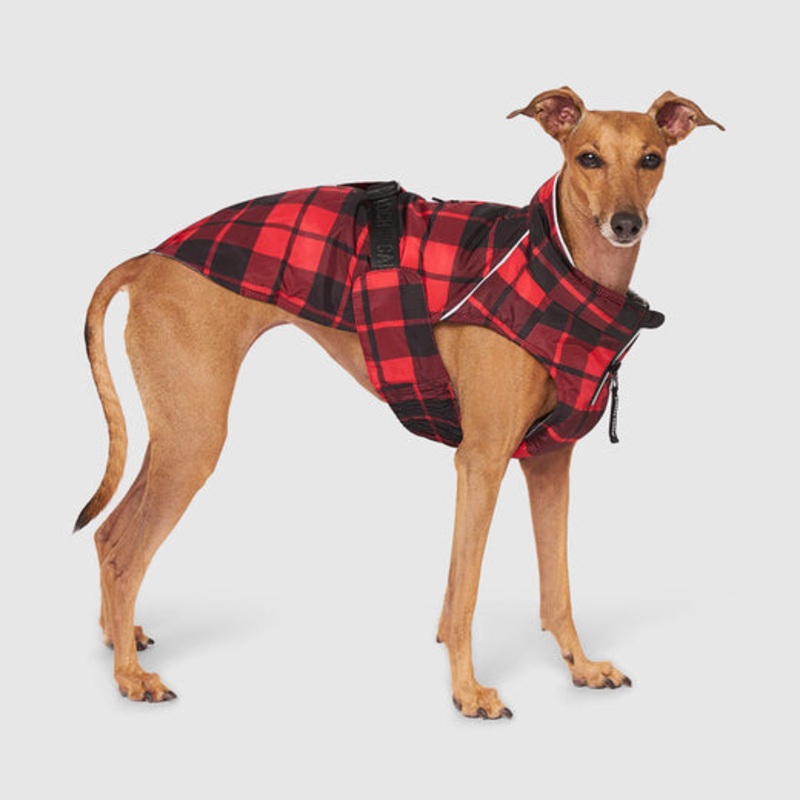 Canada Pooch Red Plaid Expedition Coat Size 8