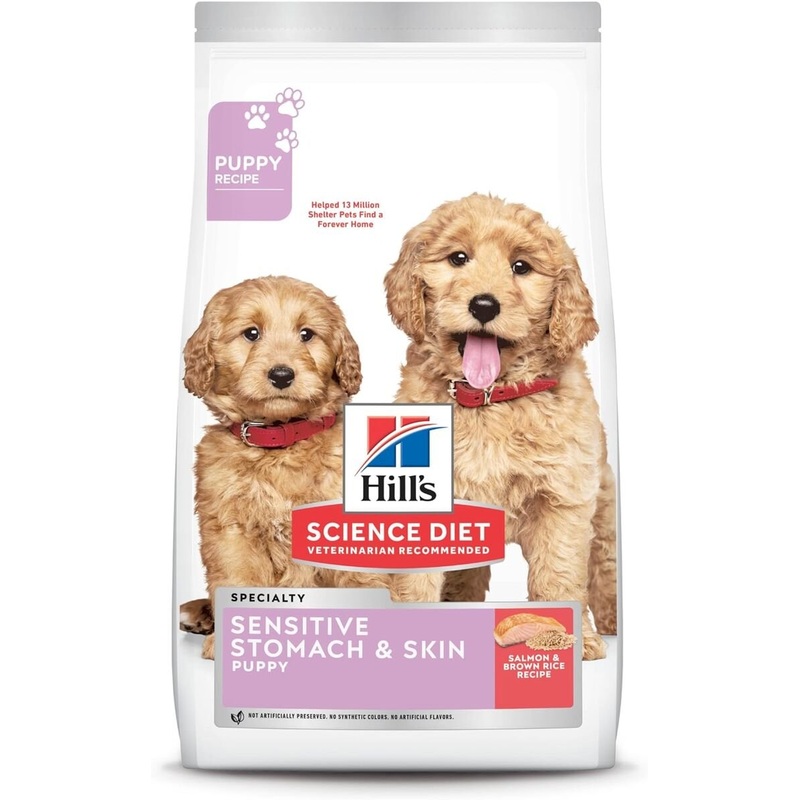Hill's Science Diet Puppy Sensitive Stomach & Skin Salmon & Brown Rice Recipe Dry Dog Food - 4 Lb