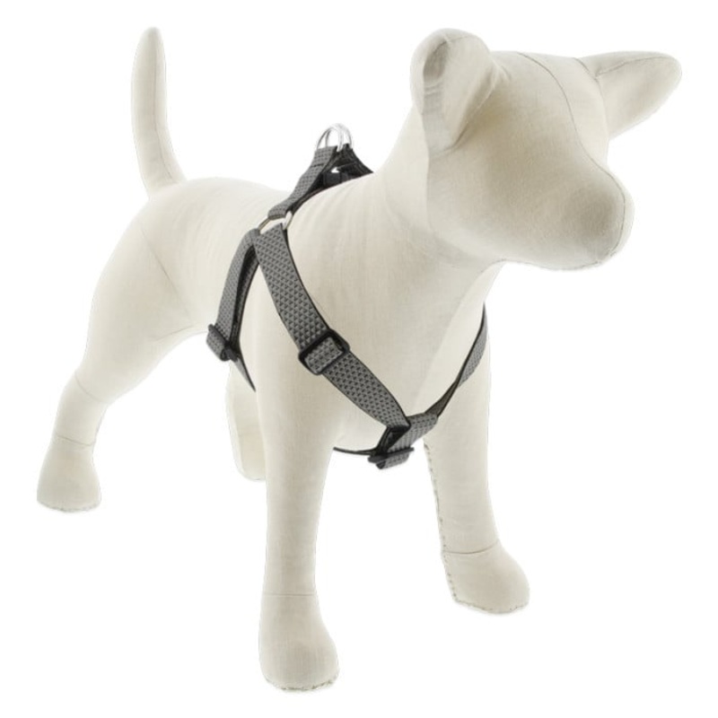 Lupine Pet Dog 1 In Wide 19-28 In Step  In Harness Eco Granite