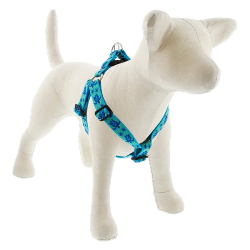 Lupine Pet Dog 1 In Wide 19-28 In Step  In Harness Original Designs Turtle Reef