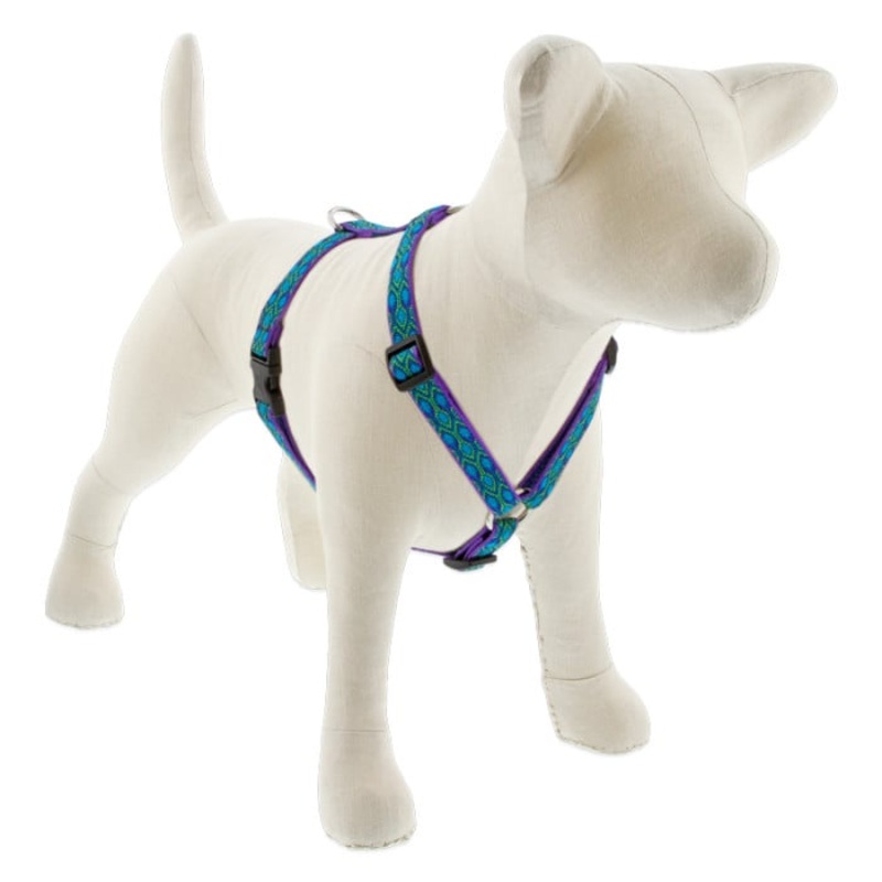 Lupine Pet Dog 3/4 In 20-32 In Roman Harness Original Designs Ra In Song