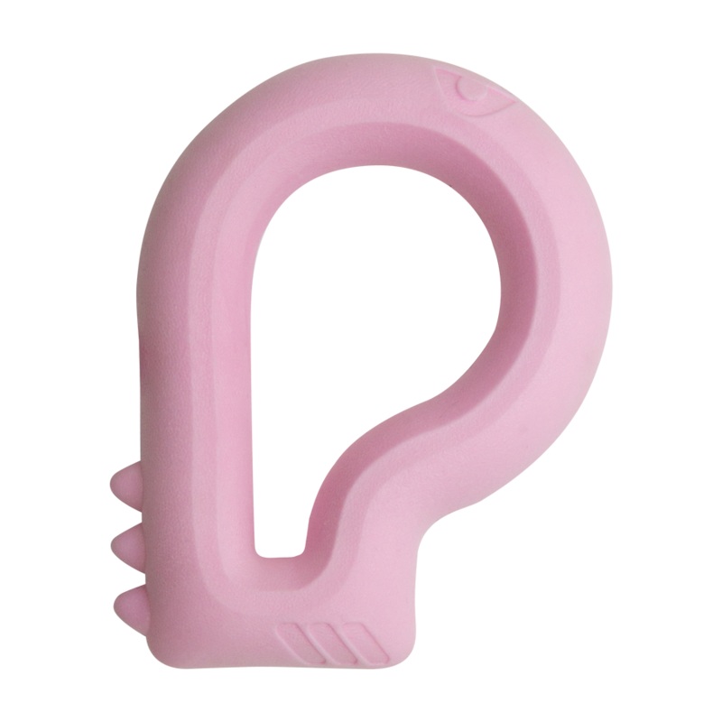 Snugarooz Dog Toy Floating Dino